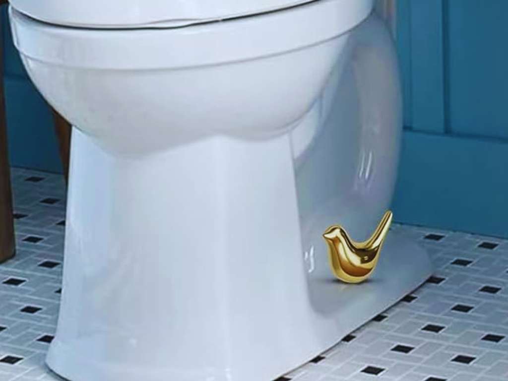 Bird Toilet Bolt Cover